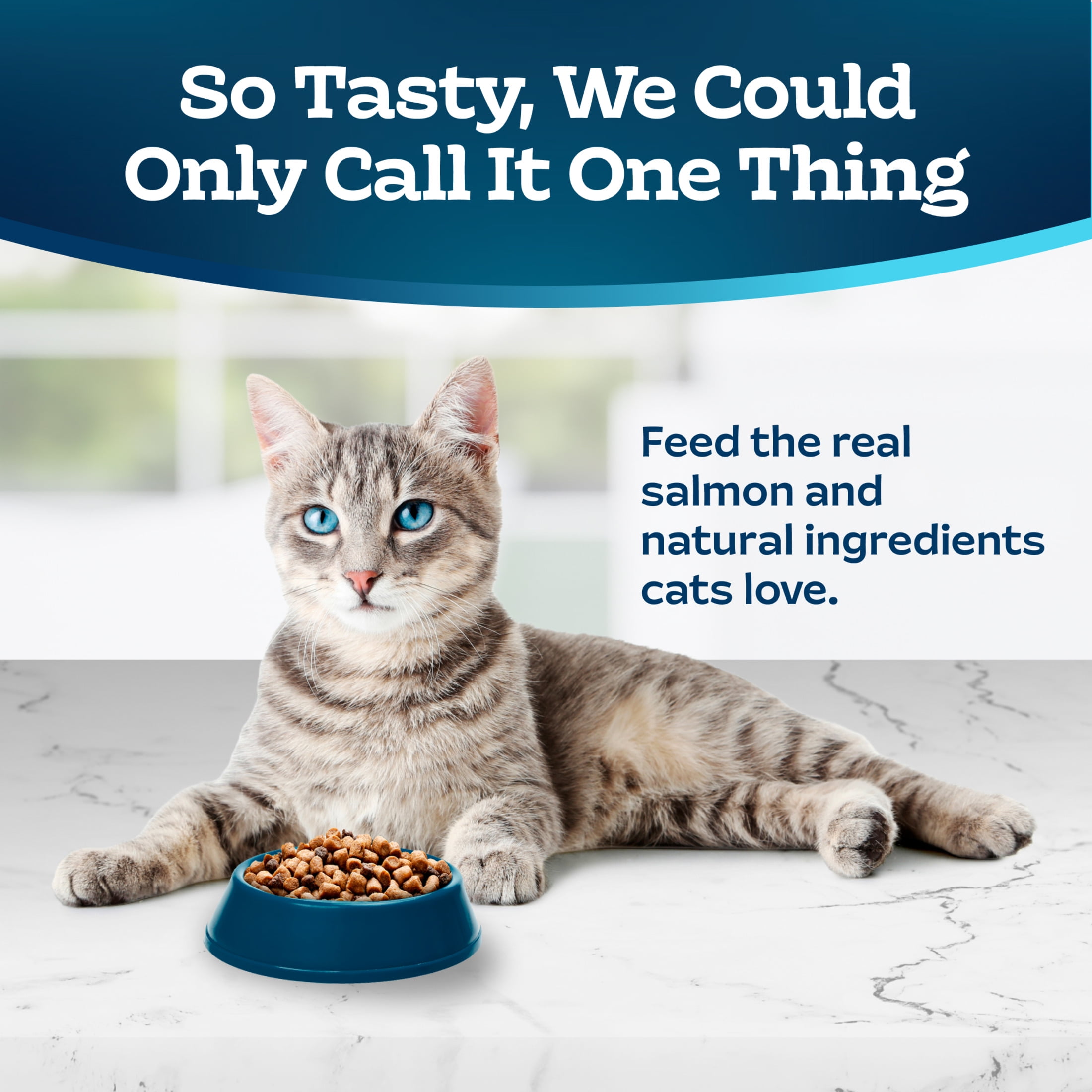 Blue Buffalo Tastefuls Adult Dry Cat Food for Indoor Cats, Salmon Recipe, 7-lb. Bag