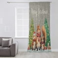 thumbnail image 3 of Winter Squirrel, Semi Sheer Curtains Drapes for Living Room, Bedroom, French Doors Window 54 Inches Long, Christmas Winter Snowflake Grey Rod Pocket Chiffon Curtain Drapery Voile Draperies Panel, 3 of 6