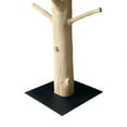 thumbnail image 3 of Mangosteen Tree Coat Rack on Black Iron Base, 3 of 4
