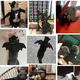 thumbnail image 5 of Disfraz de mascota de alas de murciélago de Halloween, disfraz divertido y fresco para gatos y perros pequeños a medianos Adepaton CPB-DE-LYY1989-4, 5 of 5