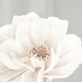 thumbnail image 2 of Allen, Kimberly 12x12 Black Ornate Wood Framed with Double Matting Museum Art Print Titled - Neutral Peony 2, 2 of 4