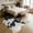 Spotted cow, variant on Janvonne Irregular Cow Print Faux Cowhide Area Rug, Non-Slip Washable Animal Print Floor Mat for Living Room Bedroom Cave, 5'x6.2' Yellow and White Spotted Cowhide