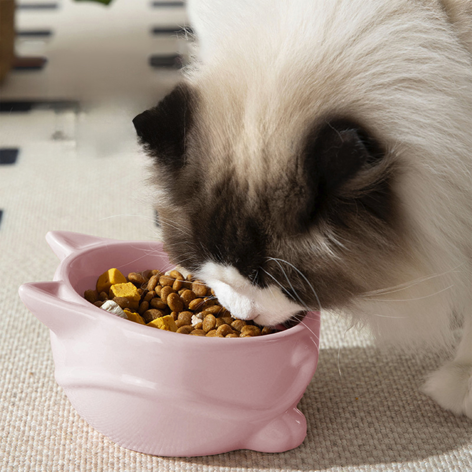 Lunxisen 4 Pcs Elevated Cat Food Bowl, Ceramic Raised and Tilted Water Bowl, Anti Vomiting and Protect Pets' Spines Dishes for Small Dog, Fat Faced Cat, Kitten