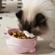 thumbnail image 4 of Comedero elevado para gatos | Plato elevado de cerámica para mascotas con soporte para el cuello | Diseño ancho y poco profundo que previene la fatiga de los bigotes | Comedero y bebedero de gran, 4 of 5