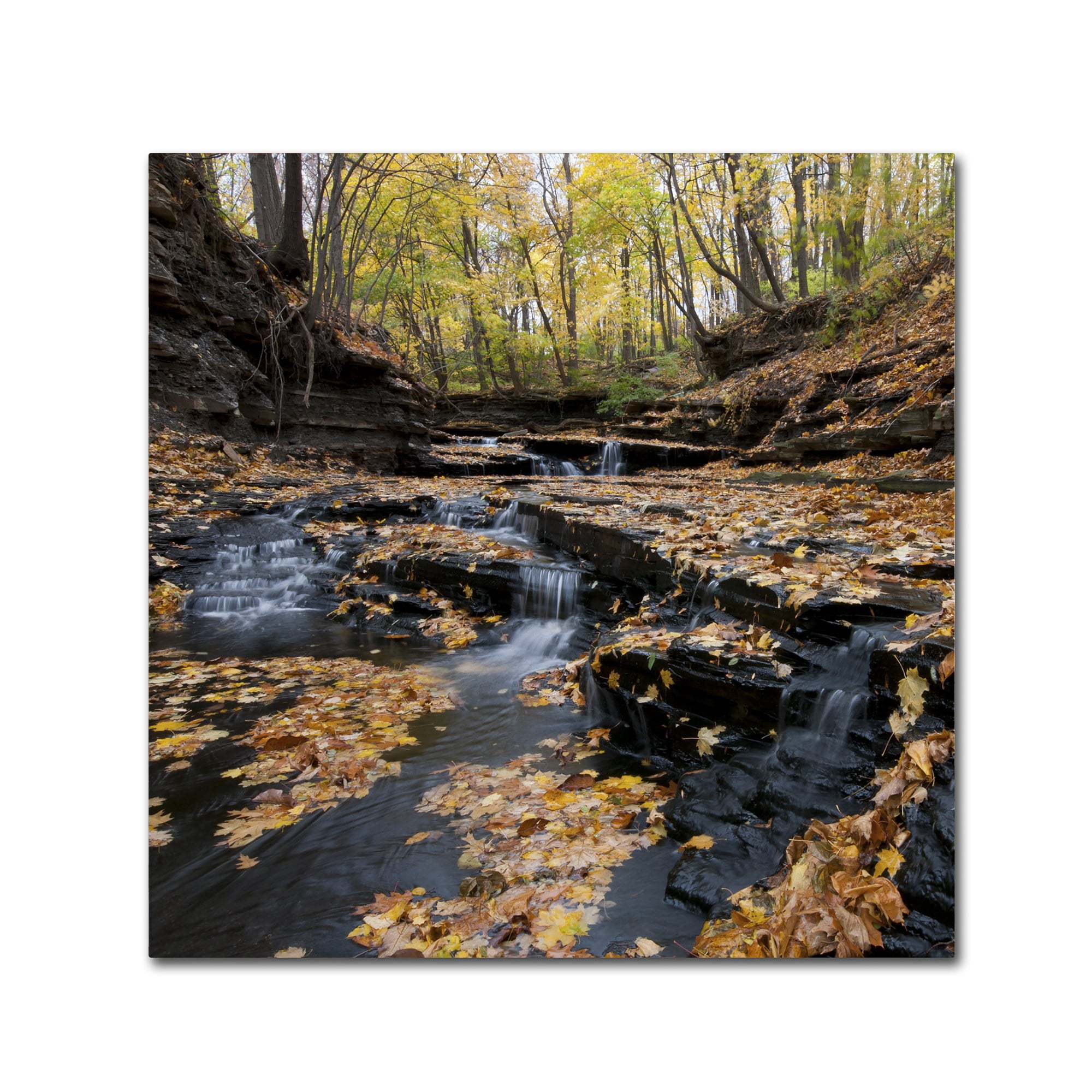 Trademark Fine Art "Lakeview Autumn Falls" Canvas Art by Kurt Shaffer