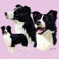 thumbnail image 3 of CafePress - Border Collie Multi - Women's Nightshirt, 3 of 4