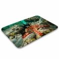 thumbnail image 3 of Red Knobbed Sea Star Area Doormat, Starfish Doormat, Green And Orange Area Doormat, Underwater Sea Star Doormat, Home Decor, Welcome Mat,Indoor Doormat,Front Back Door Mat 16”x24”, 3 of 7
