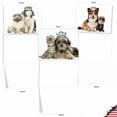 thumbnail image 4 of 10 All Occasion Blank Note Cards Pack (4 x 5.12 Inch) - COPY CATS M6596OCB, 4 of 6