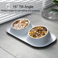 thumbnail image 2 of PETIMI Cat Bowl, Small Dog Bowls, Cat Food Bowl with 2 Removable Stainless Steel Feeding Bowls, Suitable for Small and Medium Sized Pets（Gray）, 2 of 8