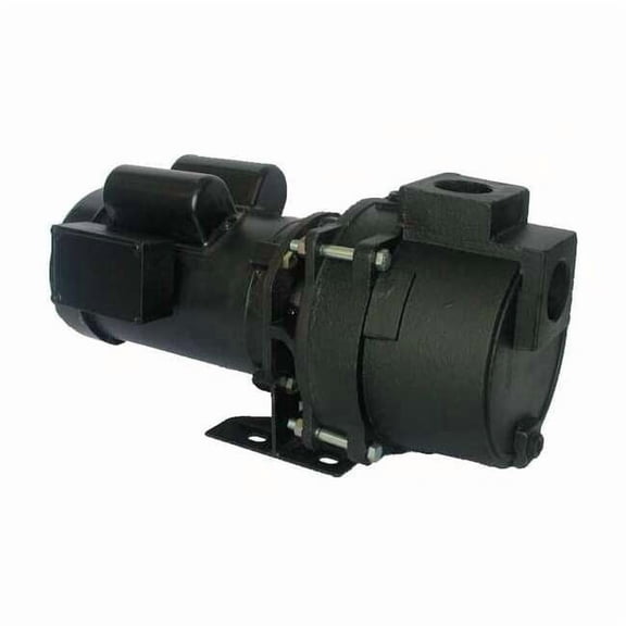 Dayton Pump, Sprinkler, 1/2 HP, 1 Ph 5RWH6