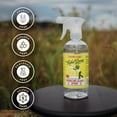 thumbnail image 6 of Rebel Green Sparkling Glass Cleaner - Streak Free Glass Cleaner Spray - Natural Glass & Surface Spray for Windows, Mirrors, & More - Scented with Peppermint & Lemon - (16 Ounce Bottles, 2 Pack), 6 of 7