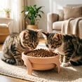 thumbnail image 5 of Raised Elevated Pet Bowl with Stand, Anti Spill Non Slip Single Feeding Dish Reduces Neck Strain & Vomiting for Small Dogs Cats, Easy Clean Durable 14x14x7cm Single Bowl, 5 of 5