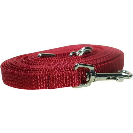 Pet Champion Pet Tie-out