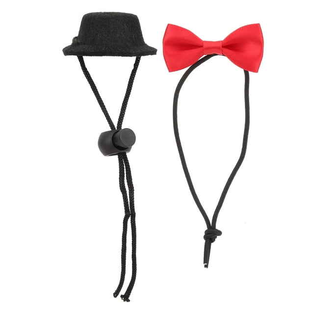 Sombrero de lagarto y pajarita, sombrero de reptil y lazo, conjunto de ropa de lagarto, ropa de reptil, diseño aerodinámico
