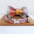 thumbnail image 5 of Collar ajustable para perros Lupine Go Go Gecko de 3/4 de pulgada para perros pequeños y grandes, 5 of 5