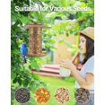 thumbnail image 3 of Comedero Solar para Pájaros SWEETFULL de Metal para Exterior con Capacidad de 1 kg, 3 of 9