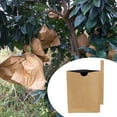 thumbnail image 5 of Against Insect Bird Pulp Paper Bag Reusable 50x180cm Yellow Outside And Black Inside Pouch For Vegetable 100PCS, 5 of 16