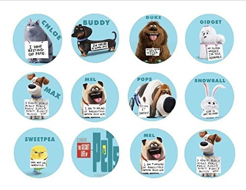 The Secret Life of Pets Sticker Pad Childrens Activity Party Bag Filler Kids 