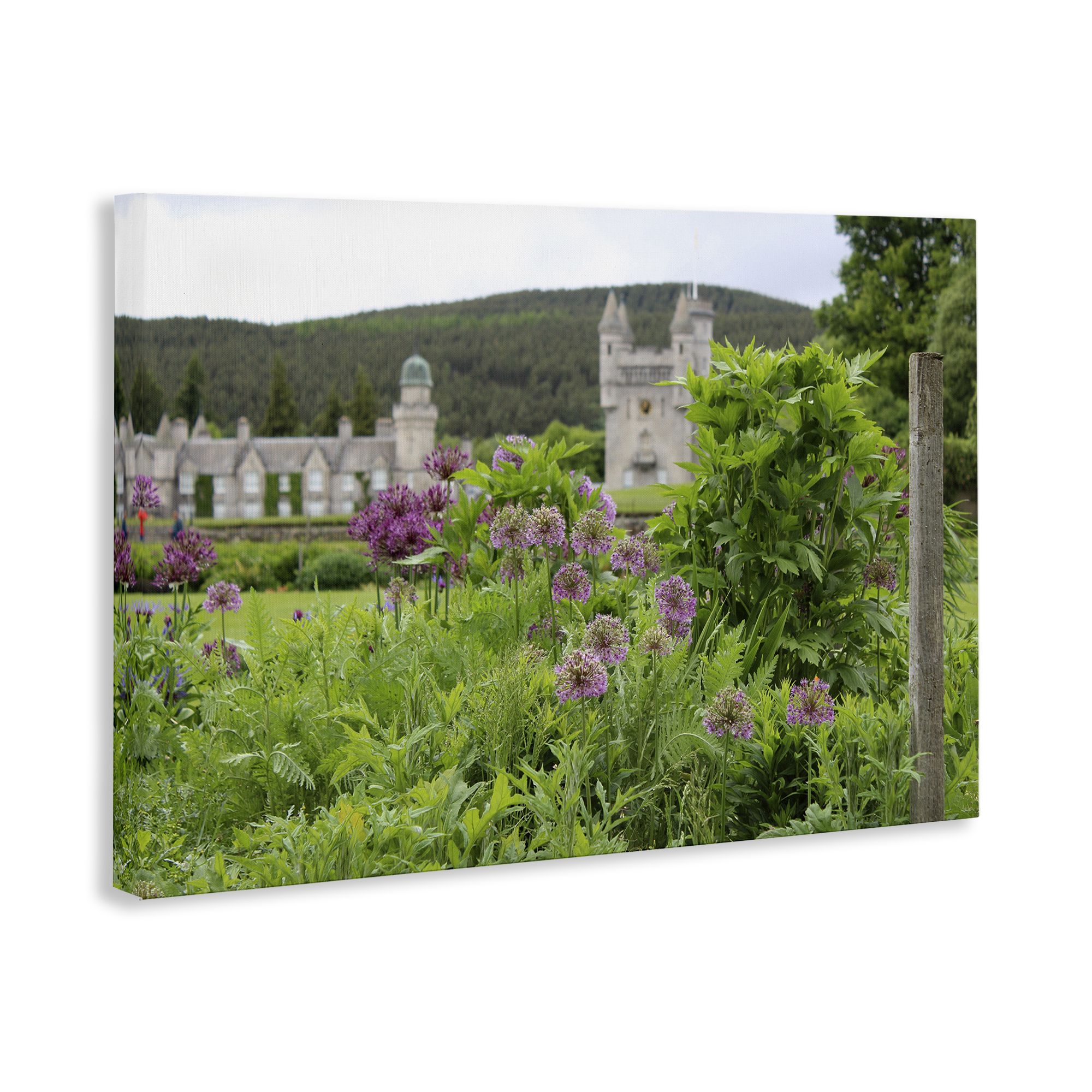 Stupell Industries Distant Castle View Landscape & Nature Photography Wrapped Canvas Art Print Wall Art, 45 x 30