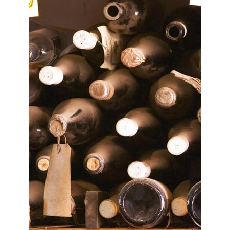 Bottles in Tasting Room, Bodega Pisano Winery, Progreso, Uruguay Wine Photo Print Wall Art By Per