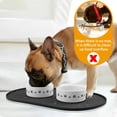 thumbnail image 3 of Dog Food Mat Anti-Slip Bowl Mats for Food and Water, High-Lips Waterproof Pet Placemat Prevent Messy Spills to Floor, Silicone Puppy Feeding Trays ，12" x 19", 3 of 7