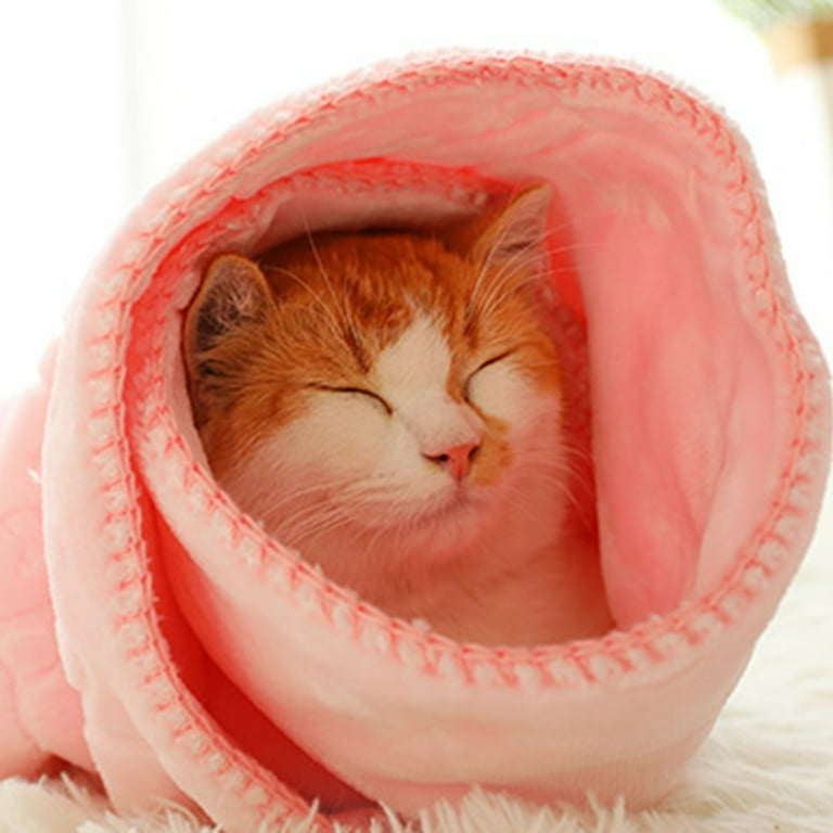 Cat top blanket walmart