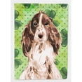 thumbnail image 1 of Carolines Treasures BB9552GF Brown Parti St.Patricks Flag Garden Size, 1 of 3