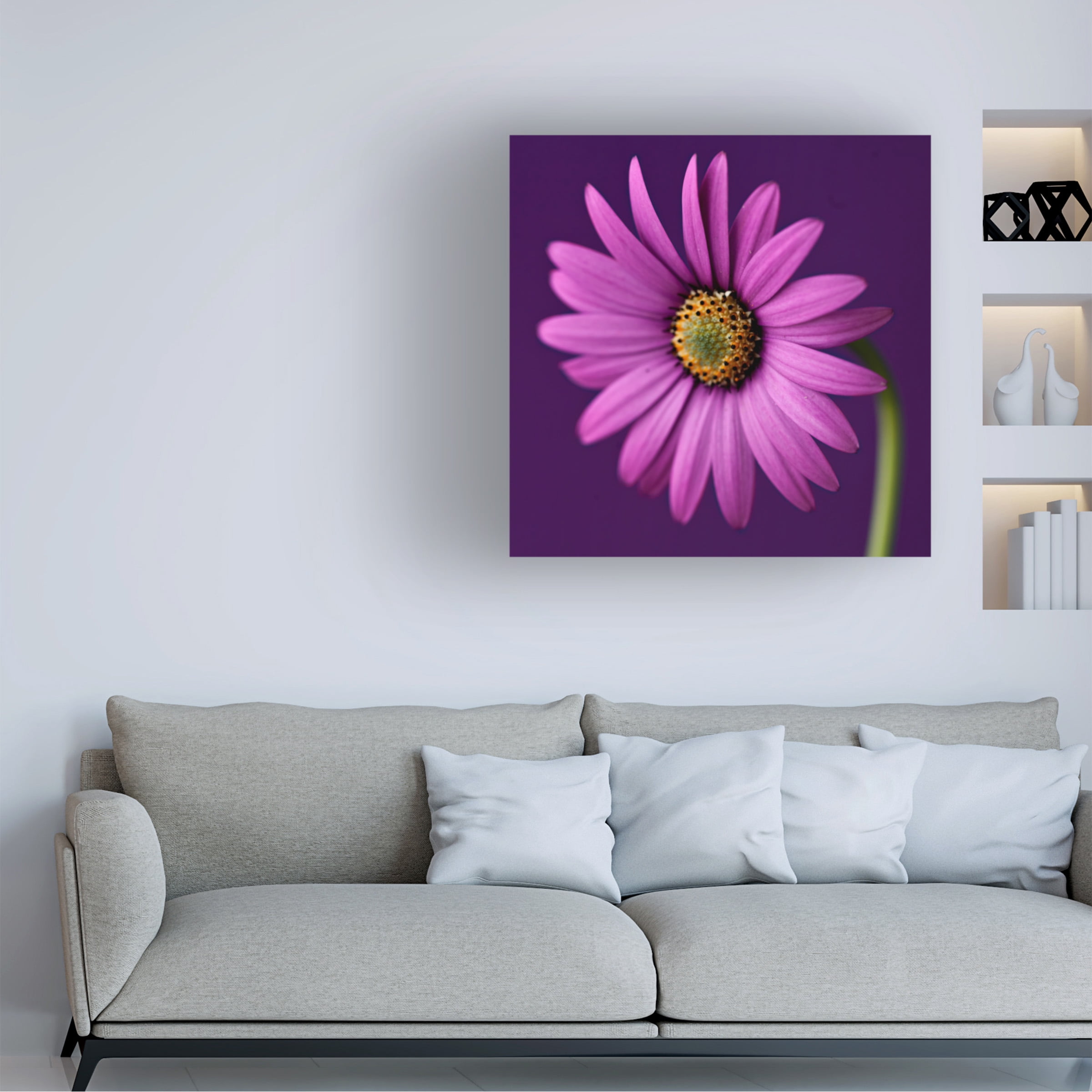 Symposium Design 'Plum Daises I' Canvas Art