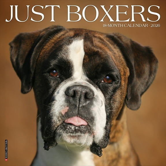 Boxers 2026 Wall Calendar, (Paperback)