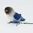 20 Feet Parrot Bird Antibite Flying Training Rope Leash Harness in the