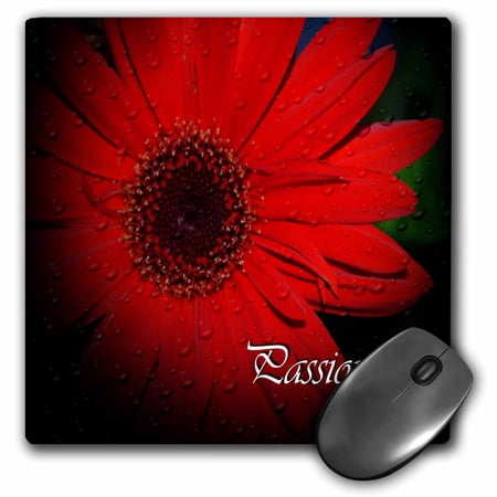 3dRose  Passion Red Gerbera Daisy  MousePad price history on PriceWatchPro