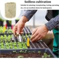 thumbnail image 3 of 50 tapones de lana de roca hidropónica CHAO para cultivo de esquejes y trasplantes, 3 of 5