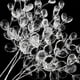thumbnail image 4 of 5/10Pcs 15cm Acrylic Crystal Bead Branch Artificial Flower for Hairpair Crafting DIY Bridal Headdress Bouquets Crystal Accessory, 4 of 5