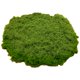 thumbnail image 1 of LUVCLS Plantas verdes artificiales, césped de musgo de poliéster para el hogar, sala de estar, jardín, 2024, artesanías de césped, decoración de paisajes falsos, plantas de musgo, macetas, plantas d, 1 of 7