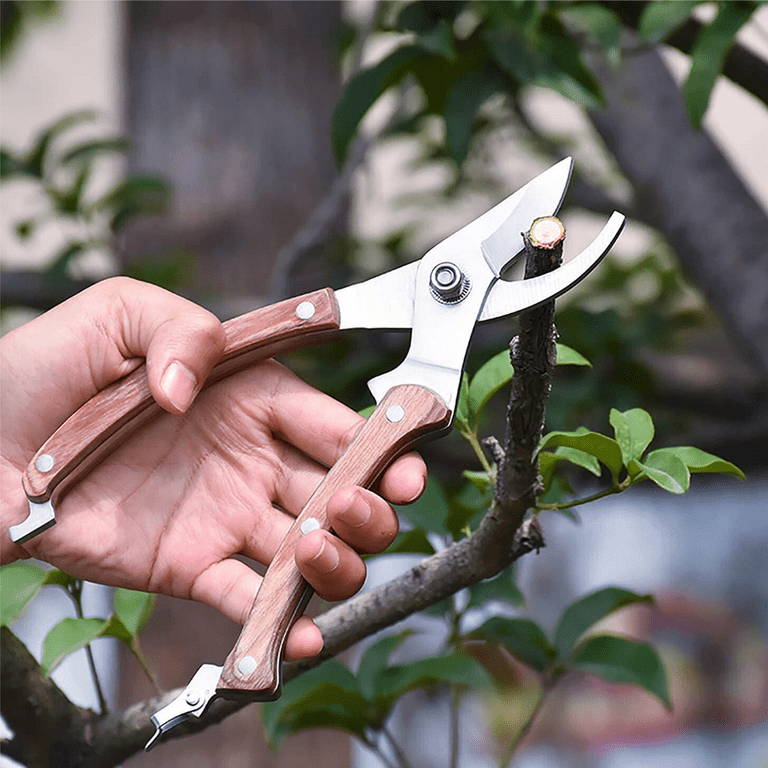 Titanium Bypass Pruning Shears - Premium Garden Shears, Heavy Duty Hand  Pruners -Ideal Plant Scissors, Tree Trimmer, Branch Cutter, Hedge Clippers,  Ergonomic Garden Tool for Effortless Cuts 