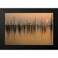thumbnail image 2 of Haaksma, Piet 24x17 Black Modern Framed Museum Art Print Titled - Drowned Forest ..........., 2 of 5