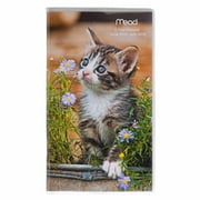 Blue Sky 2yr Pkt Plan Pup/kit