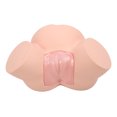 thumbnail image 4 of Childbirth Simulator Teaching Model,1:1 Life Size Midwifery Midwifery Childbirth Educational Model Midwifery Training Simulator Unmatched Quality, 4 of 14