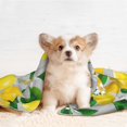 thumbnail image 4 of JUNZAN Waterproof Pet Blanket Dog Blankets, Lemon Seamless Pattern Oil Painting Effect Pattern Printing Super Soft Warm,Urine Proof Washable Pet Blanket, 4 of 7