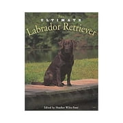 Angle View: The Ultimate Labrador Retriever (Hardcover)