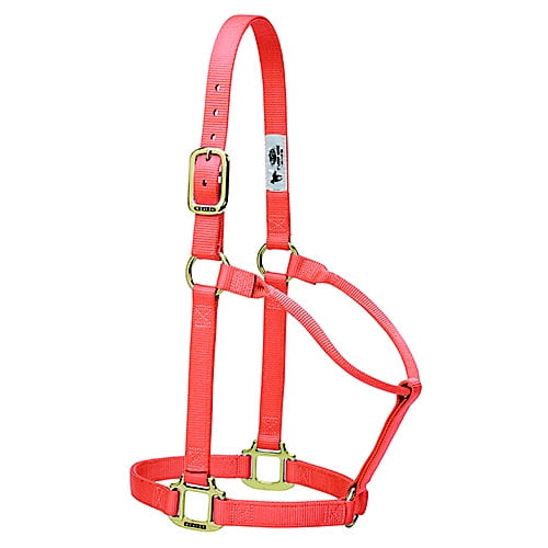 Weaver 1in Orig Non-Adjust Halter Yea Coral