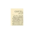 thumbnail image 4 of Historic County Map - Cottle County Texas - McGaughey 1891 - Vintage Wall Art, 4 of 4