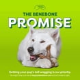 thumbnail image 6 of Benebone Essentials Wishbone Bacon M/L, 6 of 6
