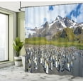 thumbnail image 4 of Ambesonne Penguin Shower Curtain, Arctic Animals at Beach, 69"Wx75"L, Azure Blue Green Brown, 4 of 4