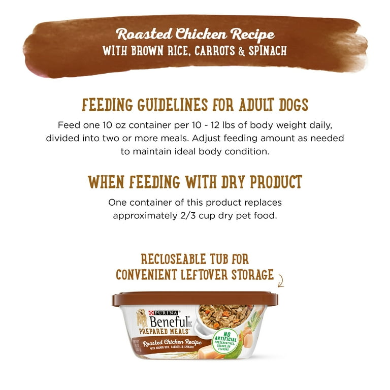 Wet dog cheap food container