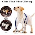 thumbnail image 4 of 3 Pack Jouets couinants pour Chien, Non Farcies et Farcies, Jouet couineur Durable, interactifs Chiens Jouets à mâcher pour Chiens de Petite Taille et Moyenne, 4 of 5