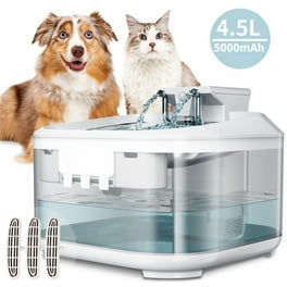 Cat fountain walmart 2025
