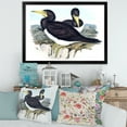 thumbnail image 3 of Designart 'Ancient Australian Birds XII' Traditional Framed Art Print, 3 of 4