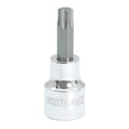 thumbnail image 1 of Dado 3/8 Pulgadas Punta Torx T60 BF51T60 Surtek, 1 of 2