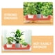 thumbnail image 3 of unbranded 3Ud Bandejas Recolectoras De Para Plantas Interiores En Plástico Duradero, 3 of 8